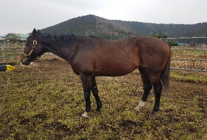 ���������̼ŴϽ� ����