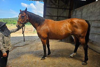 �����̽��ε�� ����