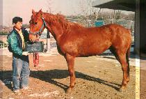 �ѱ�ȣ (HAN GIL HO) ����