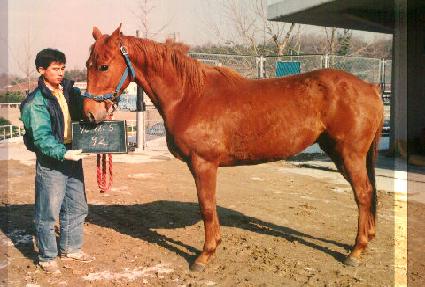 �ѱ�ȣ ����