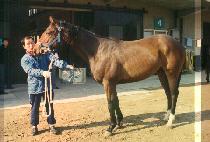 ���� (JEUNG GI) ����