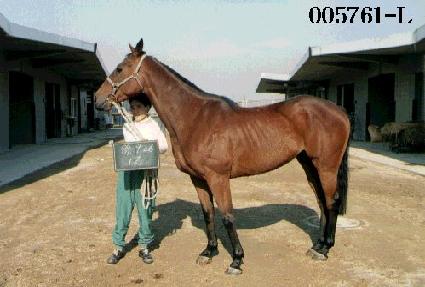 �θ��� ����