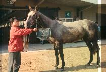 ������ (PO JEU RI) ����