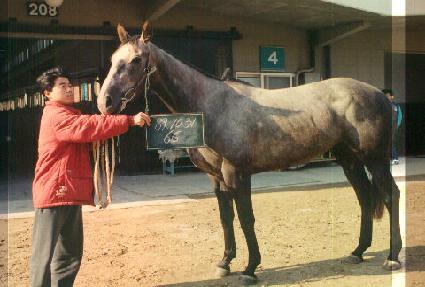 ������ ����