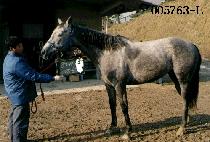 õ�� (CHEUN EUK) ����