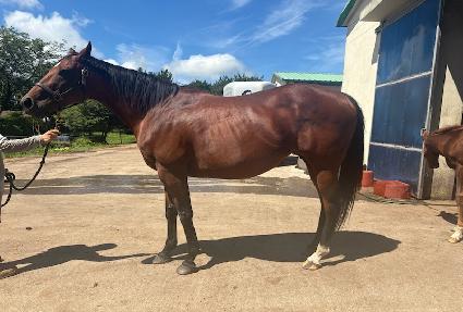 �̽��۽��θ�Ƽ ����