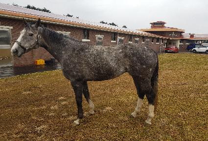 ����ī����Ʈ ����