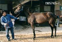 ���ٶ� (WOO DAM BA RA) ����