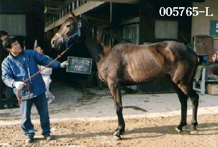 ���ٶ� ����