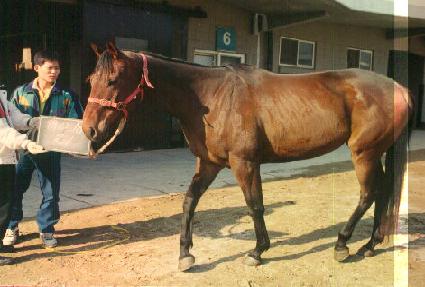 ���ӿ��� ����