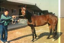 �̶�Ŭ (MIRACLE) ����