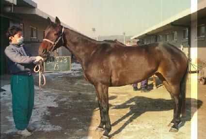 ��̼� ����