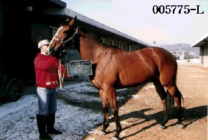 ��Ÿ�ϸ� ����