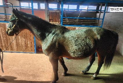 �ܴ�Ʈ�� ����