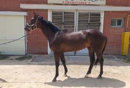 ��Ÿ��ƽ���� ����