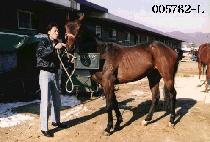 �½��� (SEUNG SEUNG HYEN) ����