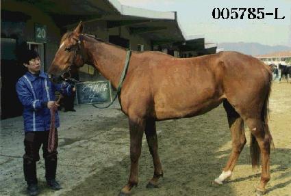 ������ ����