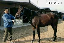 ����ȣ (PA JU HO) ����