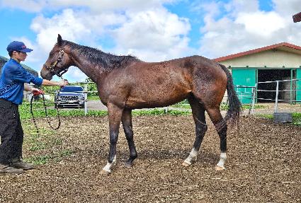 ������ġ ����