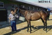 ���� (GEU JANG) ����