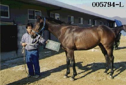 ���� ����