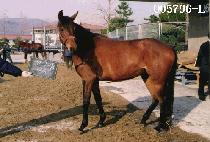 �������� (JEUNG SANG JIL JU) ����