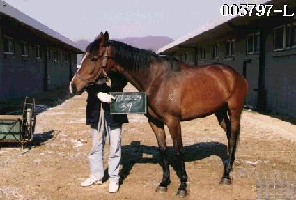 ������ ����