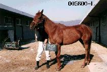 ����� (MAN DAE SAN) ����