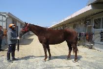 �����ǿ��� (NAEMAMUI YEOLJEONG) ����