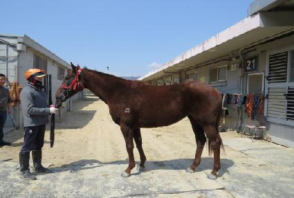 �����ǿ��� ����