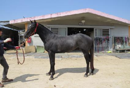 �õ�Ͽ��� ����