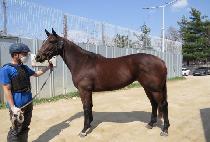 �۷ι���Ʈ (GLOBAL HEART) ����