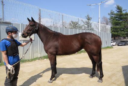 �۷ι���Ʈ ����