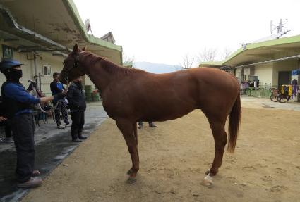 ũ��������Ÿ ����