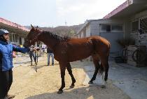 �⿬ (GI YEON) ����