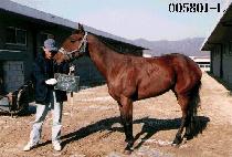 ���� (JAE WOO) ����