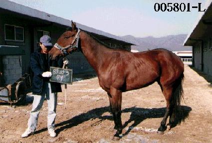 ���� ����