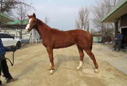 ����ī�� ����