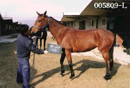 ��Ÿ ����