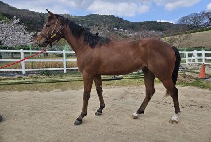 ���Ի�Ҵ� ����