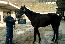 ��ȭ�� (SOO HWA JEUNG) ����