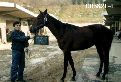 ��ȭ�� ����