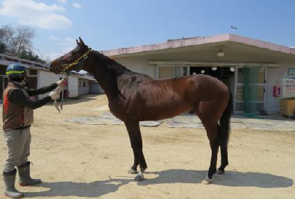 ���θ���Ÿ ����