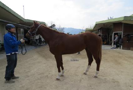 �Լ��̴� ����