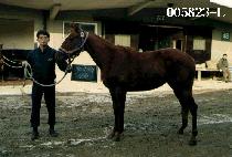 ���� (YOUNG JIN) ����