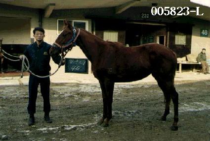 ���� ����