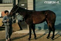 ���ȣ (WOO SIN HO) ����