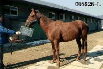 ����� (DAE JANG KYONG) ����