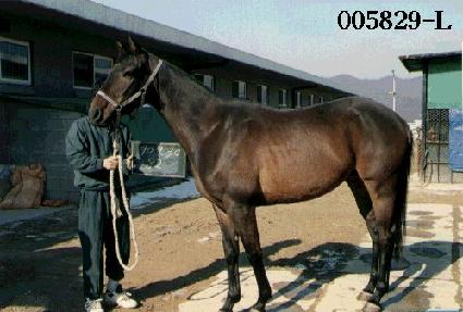 ����� ����