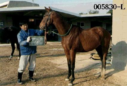 Ÿ�̰Ž� ����